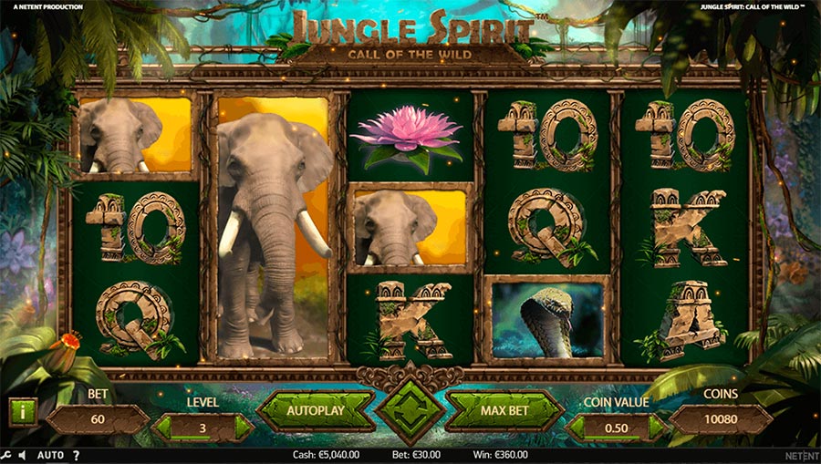 jungle spirit